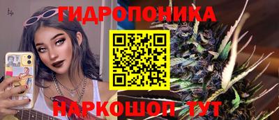 гидра Свободный