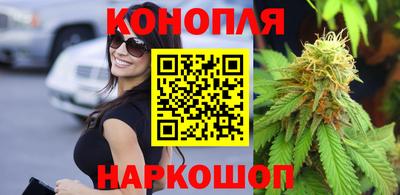 прущие грибы Северобайкальск