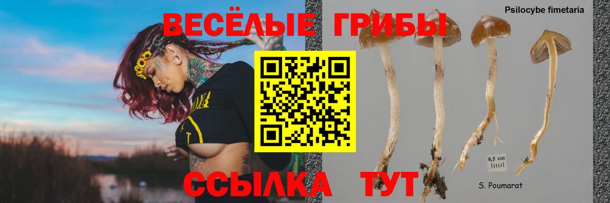 Псков  Галлюциногенные грибы GOLDEN TEACHER  Вход с VPN 